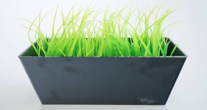 フライングタイガー(Flying Tiger Copenhagen)のおすすめおもしろアイテム「歯ブラシホルダー」