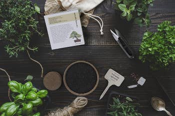 A shot of soil, labels, plants, twine, and instructions 