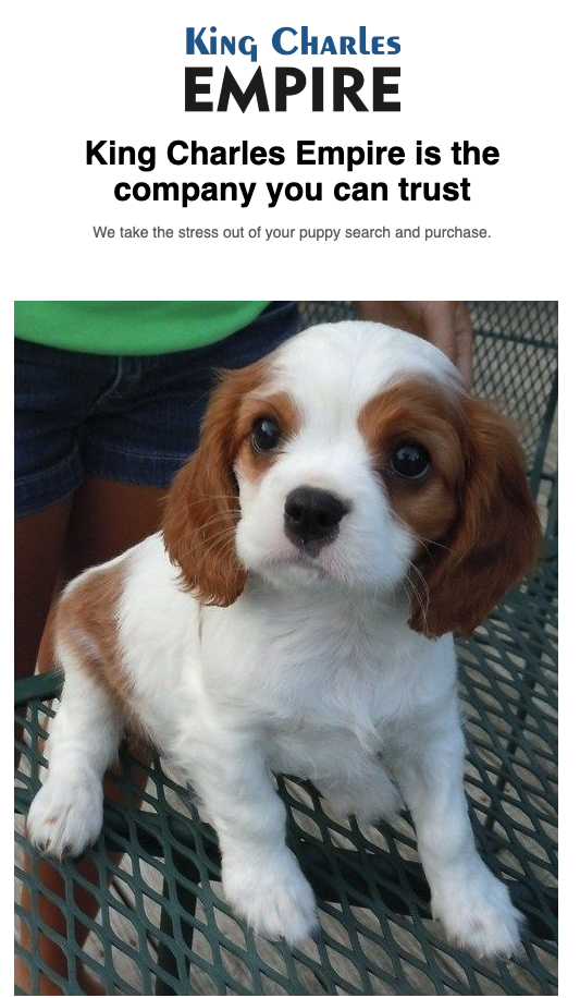 dog purchase
