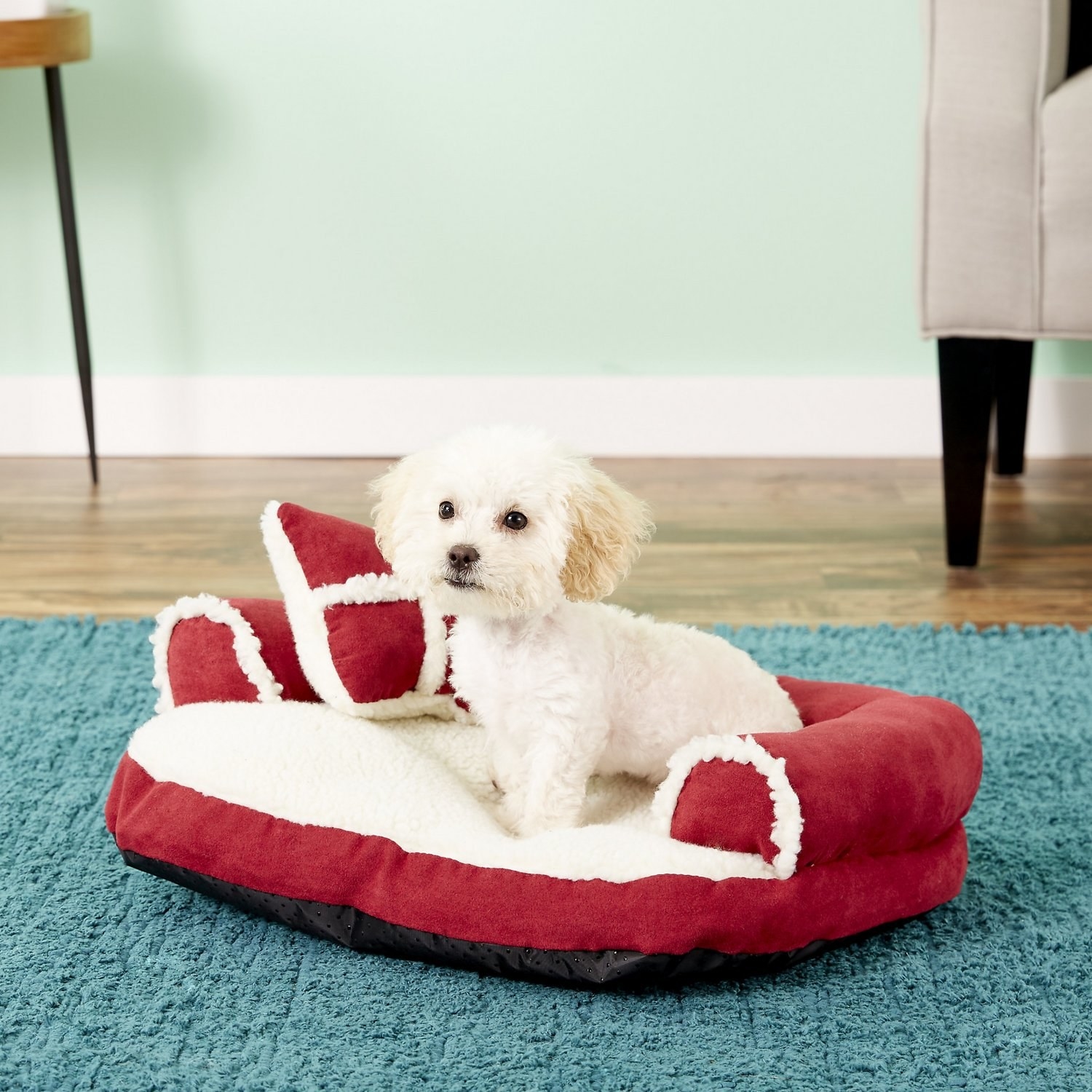 chewy dog beds