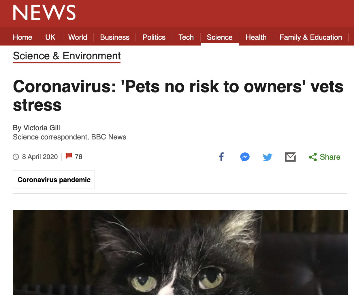 New BBC headline