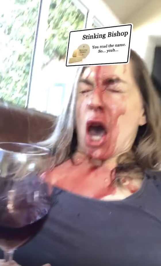 This Woman Spilled Wine On Herself While Using Instagram