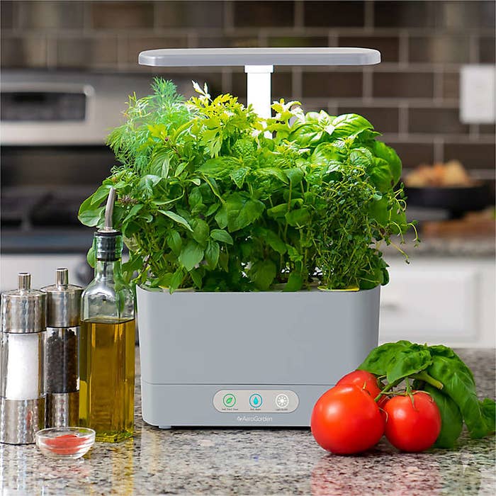 28 Gardening Kits To Check Out If You Need A New Hobby - Indoor Herb Garden Kit Bed Bath And Beyond