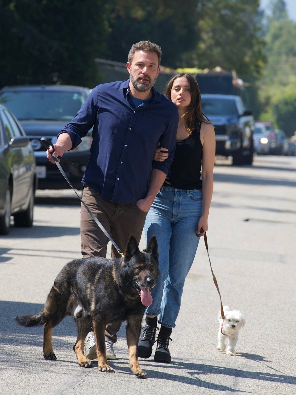 Celebrities Are Walking Their Dogs A Lot During Quarantine And Here Are ...