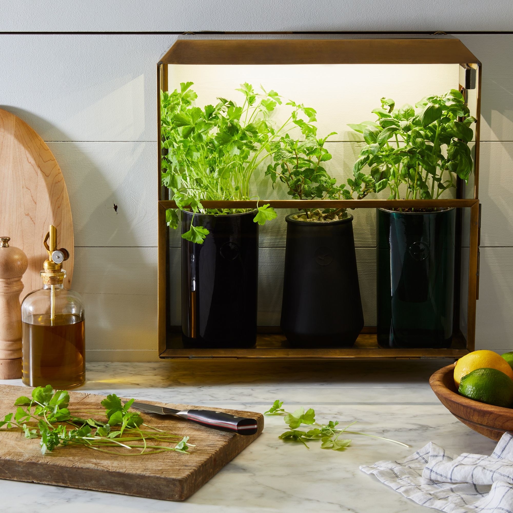 The kit, which comes with opaque glass planters