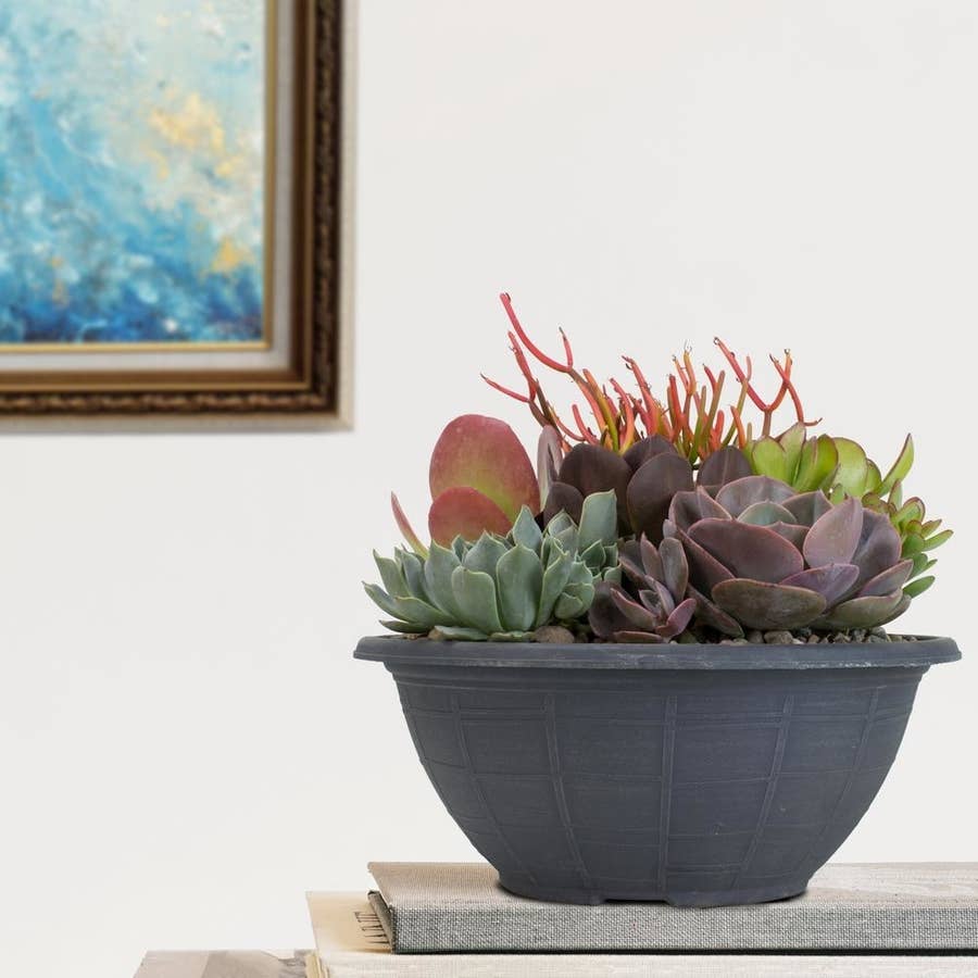 28 Gardening Kits To Check Out If You Need A New Hobby