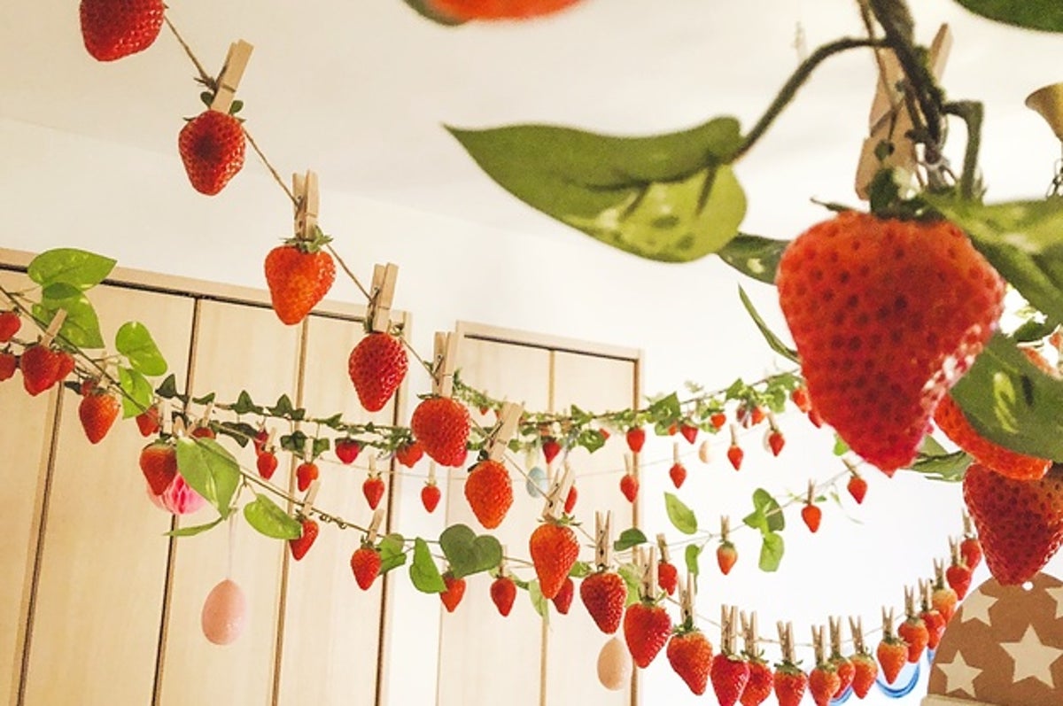 全人類の夢 お家でいちご狩りをしてみた結果