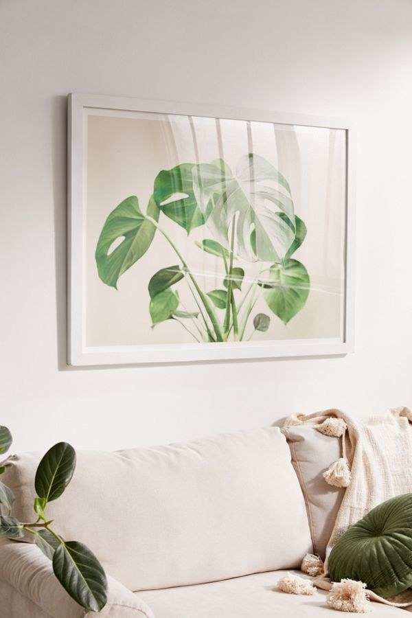 A framed picture of a plant on the wall above a couch