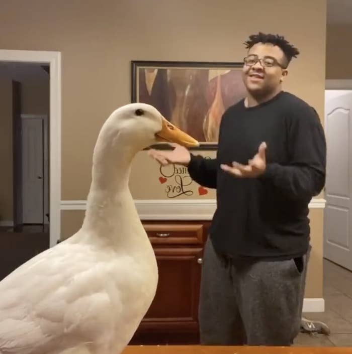 This Teen Twerking With His Duck Is The Vibe We Need In These Strange Times