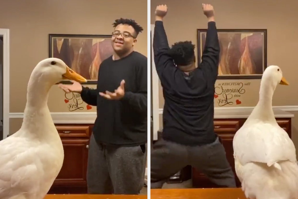 This Teen Twerking With His Duck Is The Vibe We Need In These Strange Times 