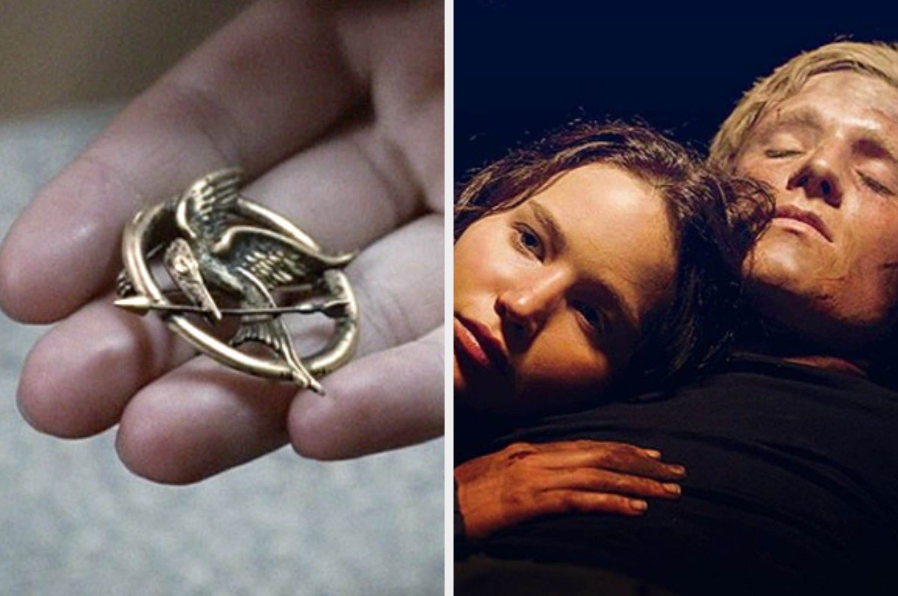 Can You Pass This AP "Hunger Games" Test?
