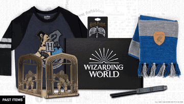 &quot;Wizarding World&quot; box including a Hogwarts baseball tee, pin, a wand, and a gif of a scarf in all the different Hogwarts houses