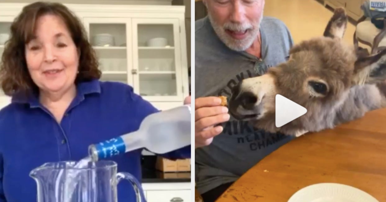 The Best Celebrity Instagram Accounts To Follow Right Now