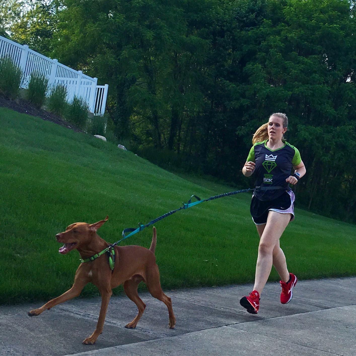 A woman with the hands-free leash around her waist running on the sidewalk with a large brown dog