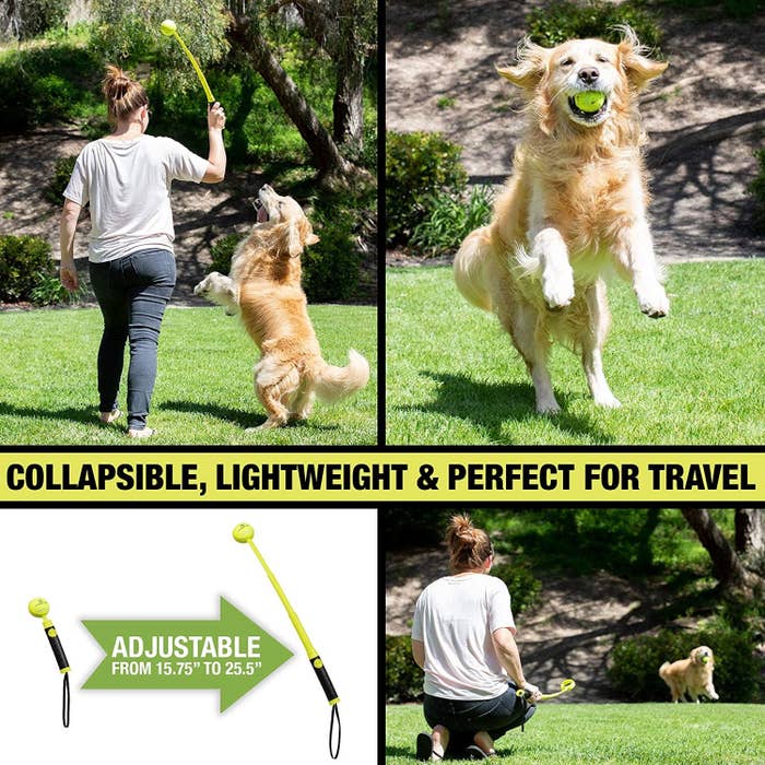 A set of four images of a person using the ball launcher, a happy dog catching the ball in its mouth, and a photo demonstrating that the ball launcher is adjustable in length