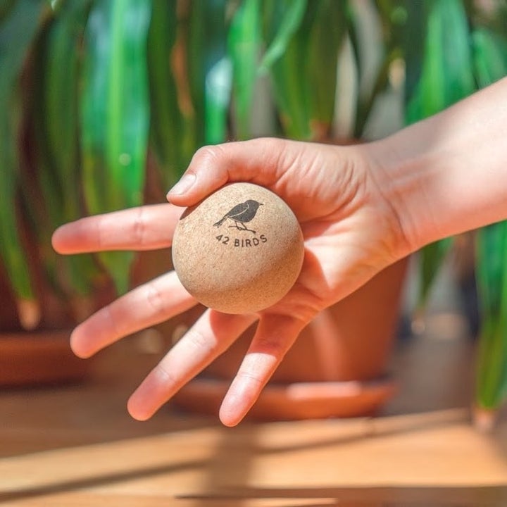 A person holds one of the balls in their hand