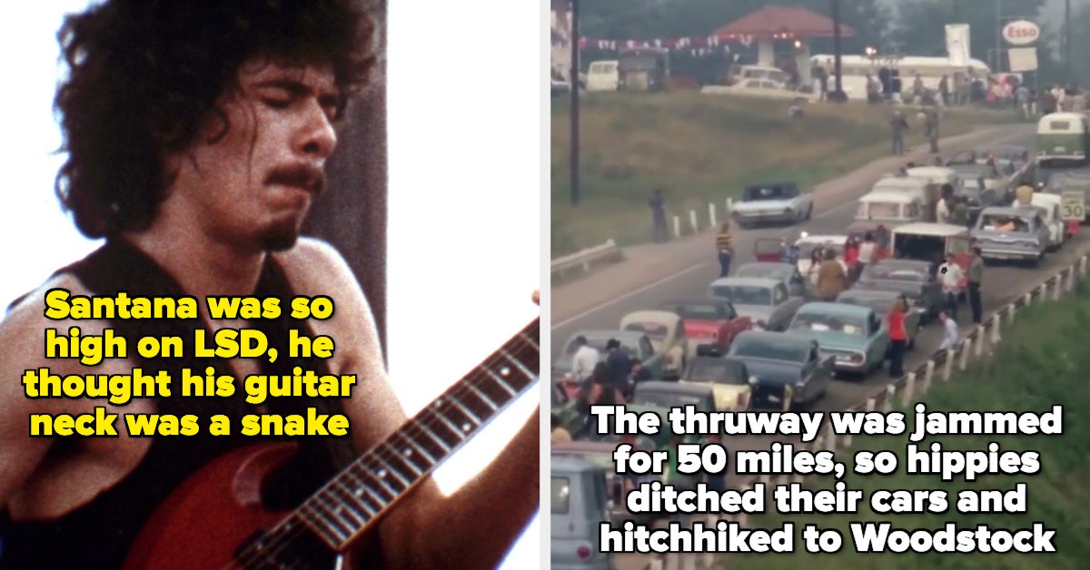 Wild Woodstock Festival Facts