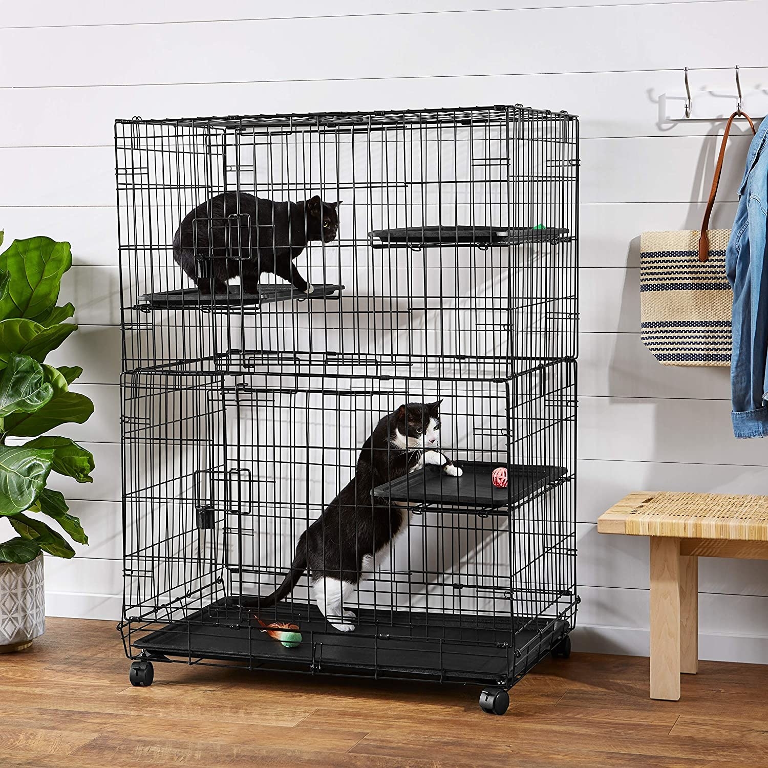 A playpen with two cats inside, one black cat sitting on a pad on the second tier and one black and white cat playing with a ball on the first tier