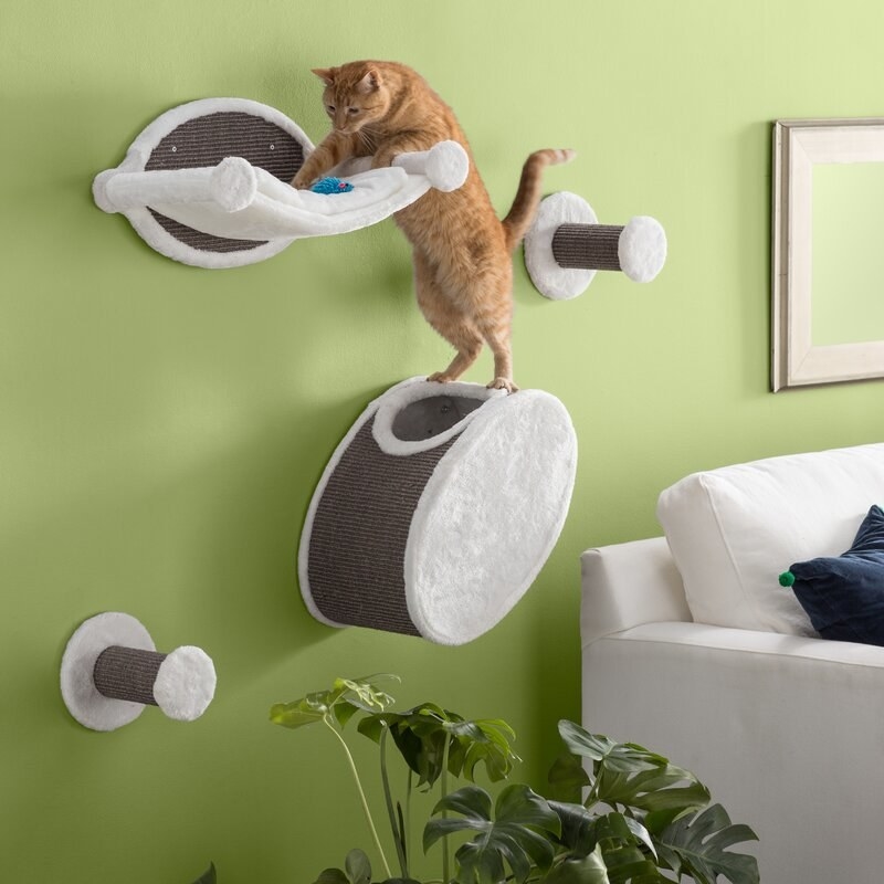 An orange and white cat standing on top of the perch on its hind legs reaching for a toy on another ledge