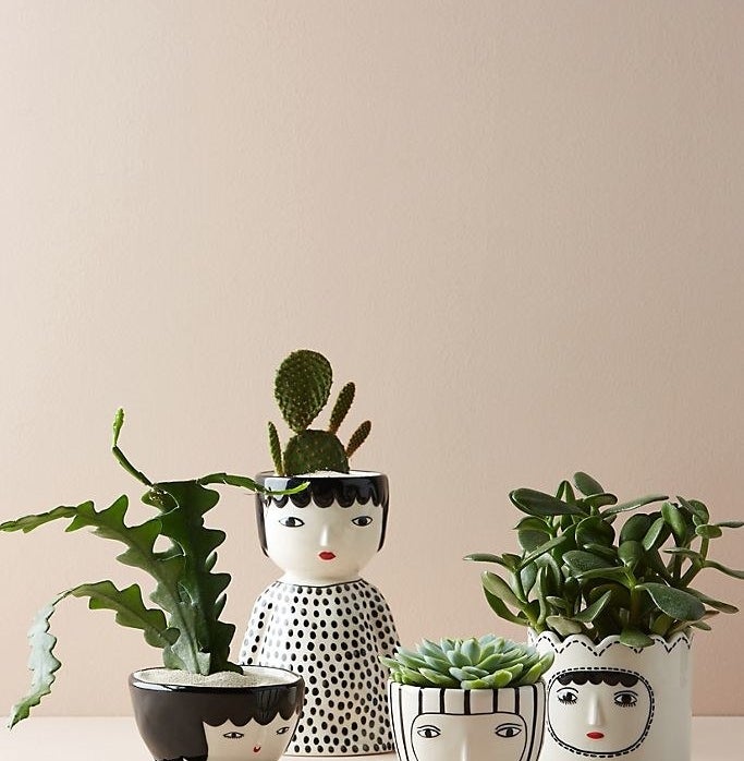 Four vases that look like people, each painted in black and white with red lips. All vases are filled with a different green plant.