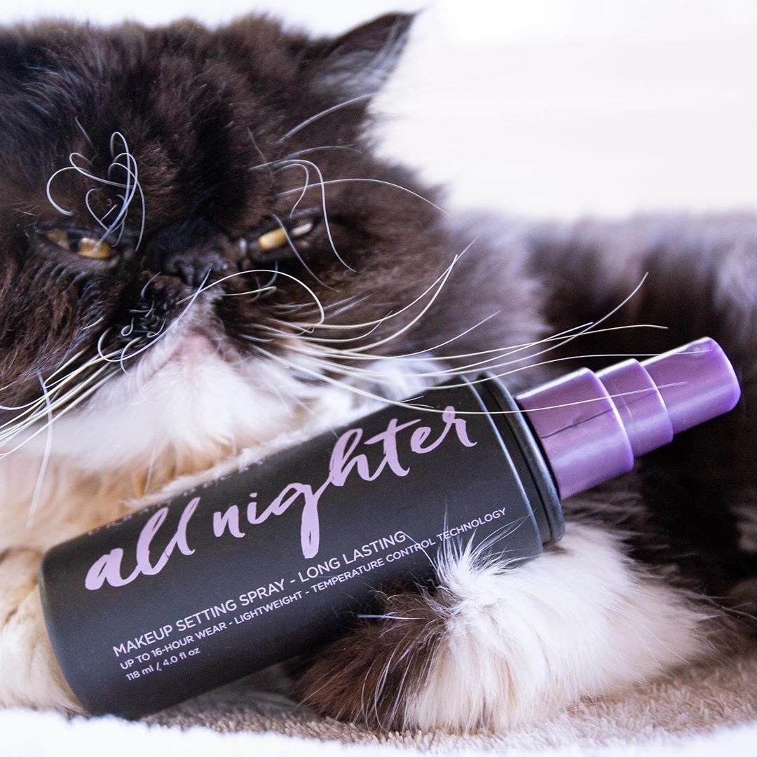 A bottle of the all nighter setting spray with a cat