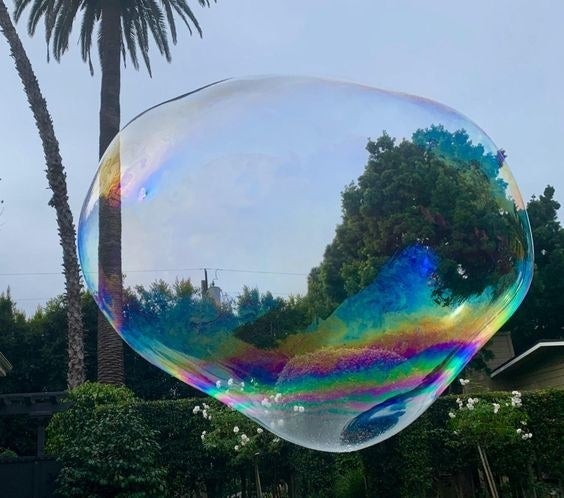 A reviewer&#x27;s picture of a giant bubble floating in their backyard 