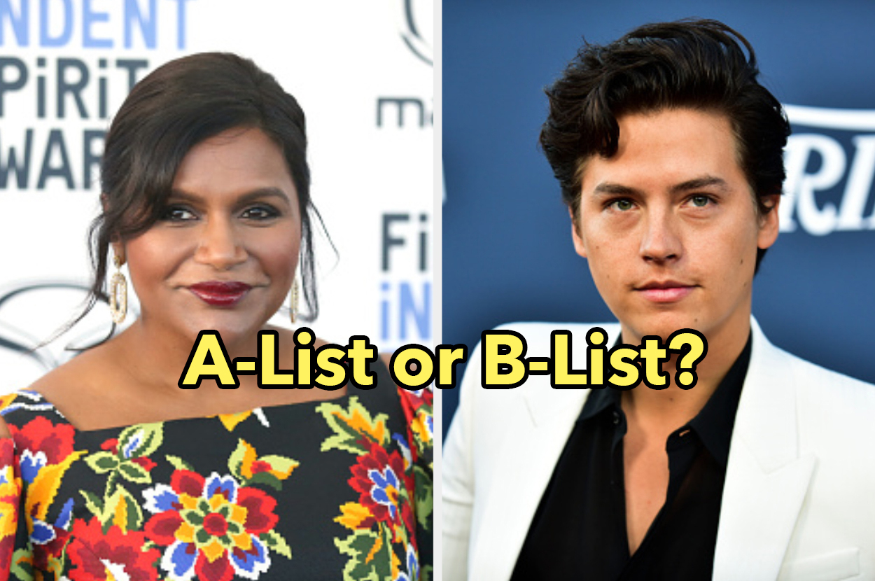 Would You Put These Celebrities On The A-List Or B-List?