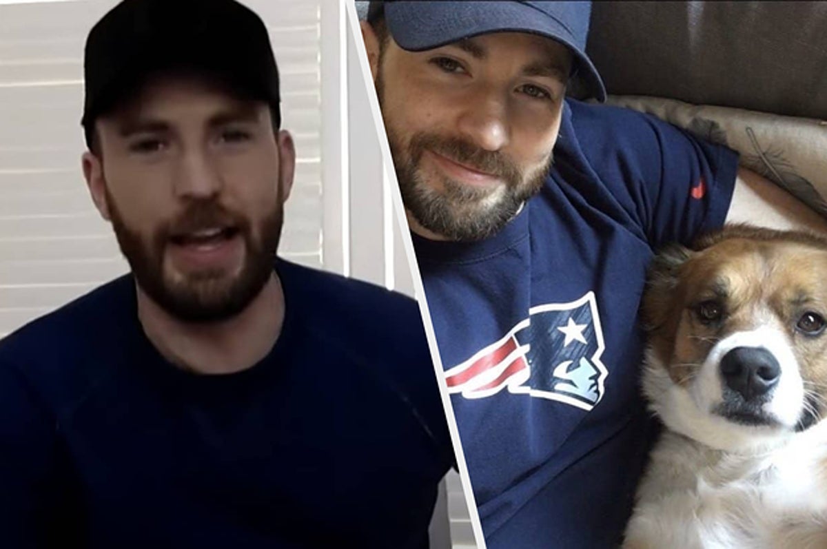 Chris Evans Says His Pet Dodger Is a Cut Above the Average Dog