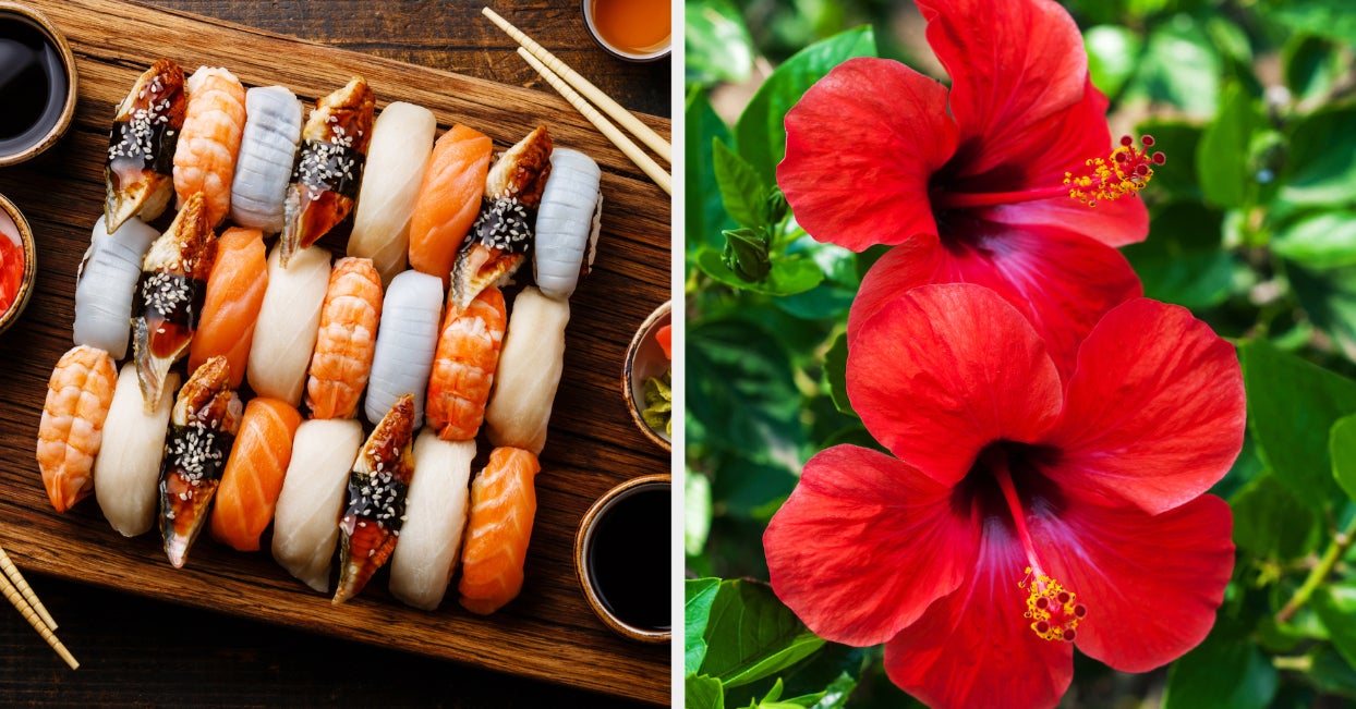 Quiz What Kind Of Flower Matches Your Personality Based On The Sushi
