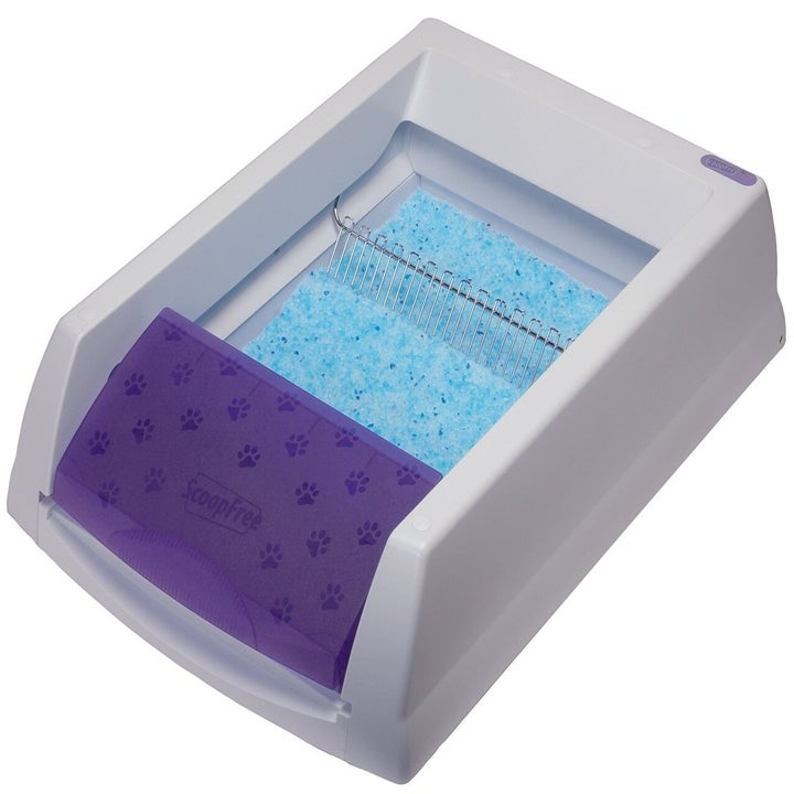 The self-cleaning litter box, featuring a purple covered compartment and blue crystal-like cat litter