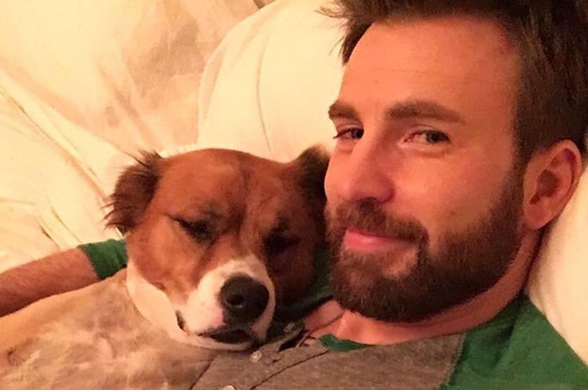 Instagram Cute Guys With Dogs Chris Evans Said He Joined Instagram To Share Photos Of His Dog