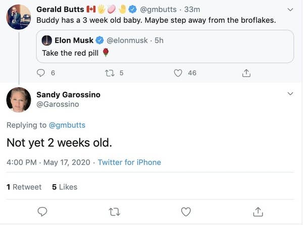 Elon Musk Was Called Out By Grimes Mom Sandy Garossino For His