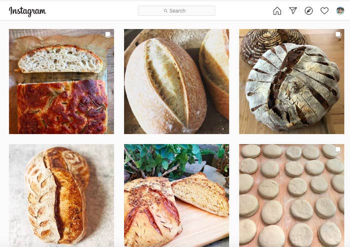 Screenshot of sourdough bread taken from Instagram.