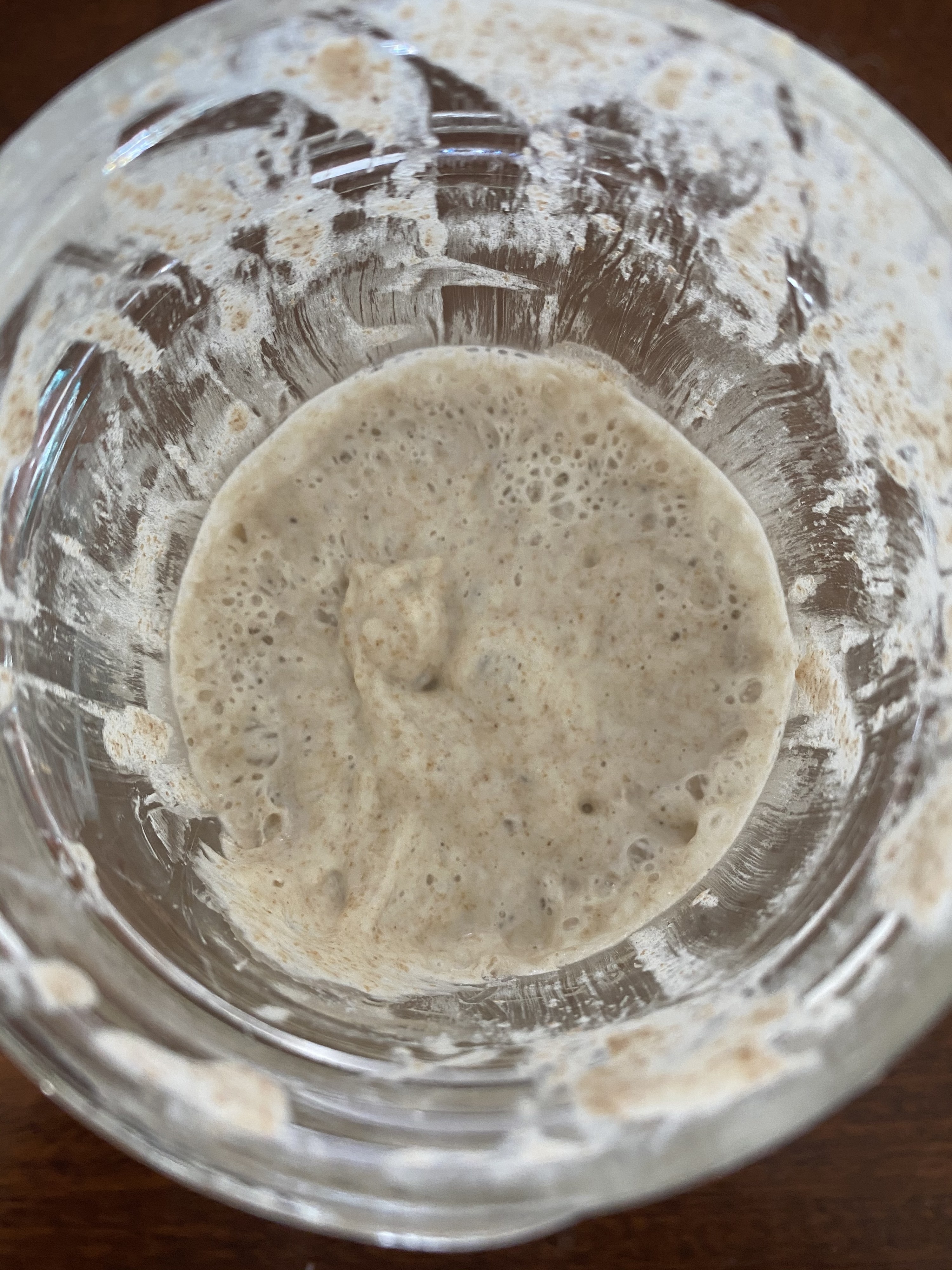 A mature sourdough starter with lots of bubbles on the surface.