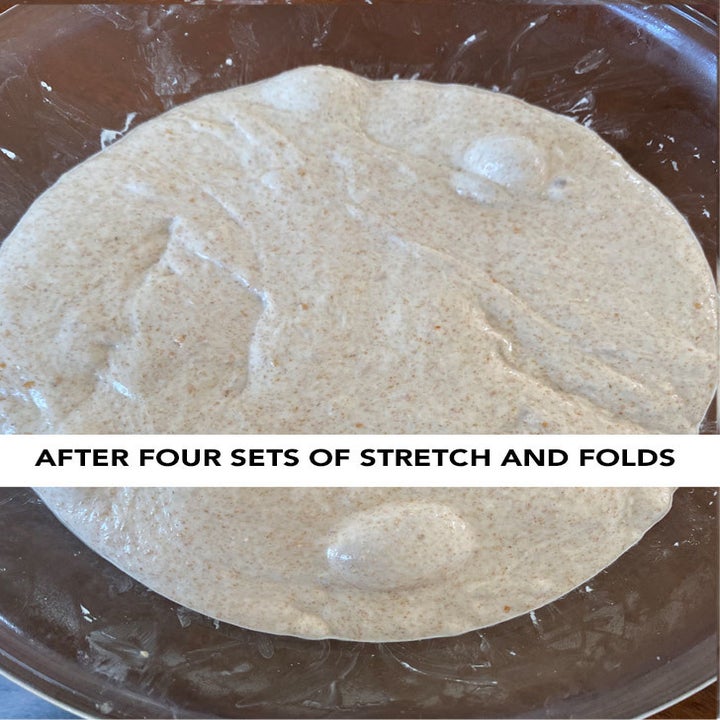 A bowl of dough with large air bubbles in it after four rounds of stretch and folds.