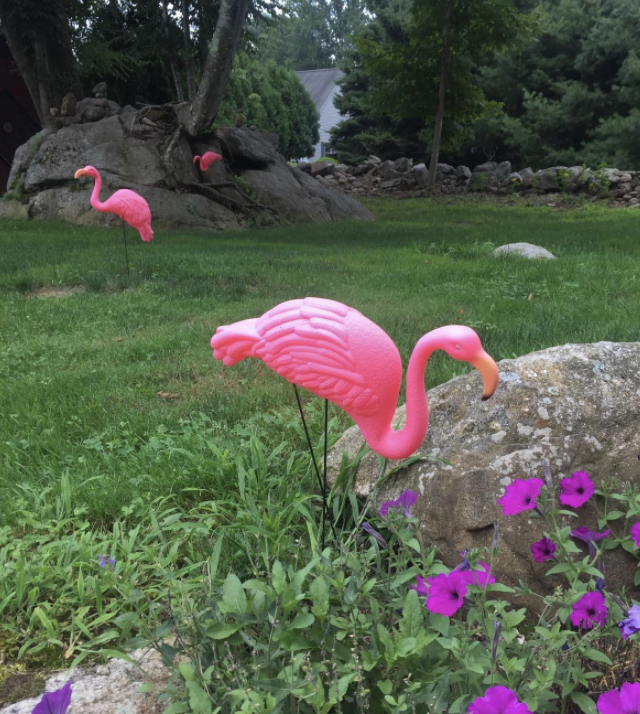 a reviewers image of the pink flamingo lawn ornament in their garden