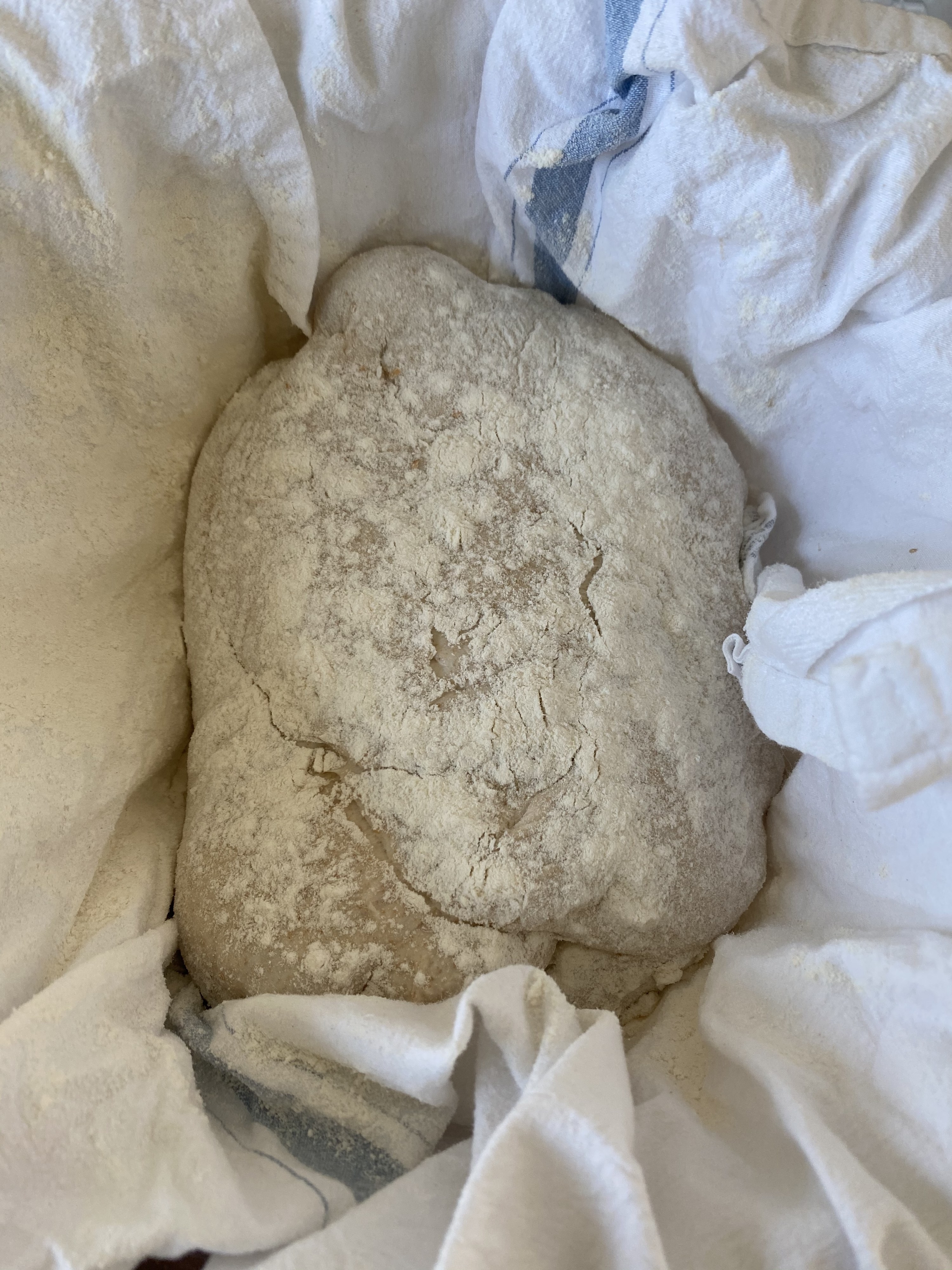 A shaped ball of dough in a bowl lined with a dish towel.