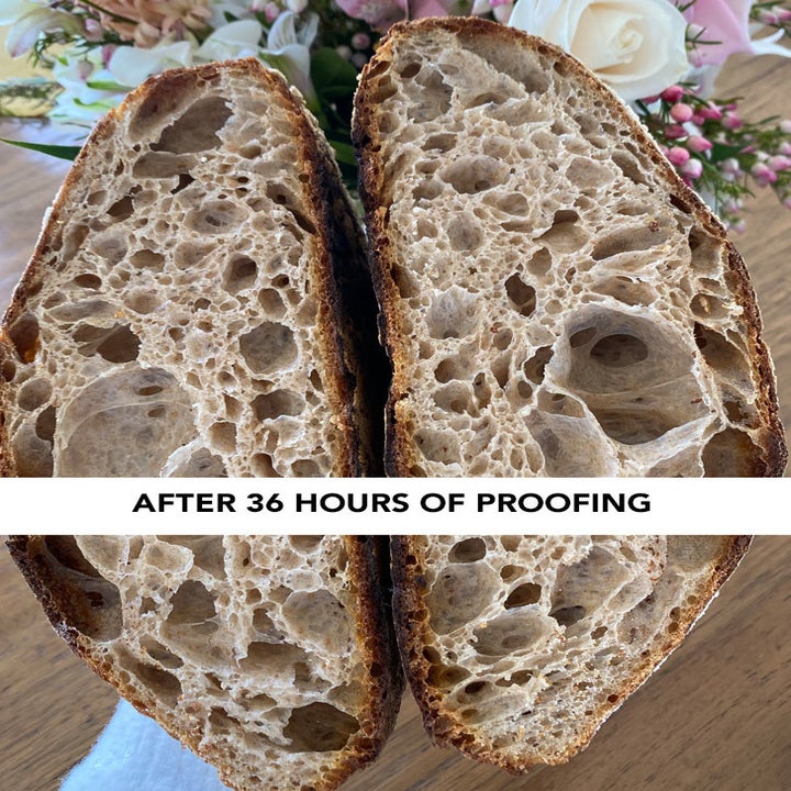 A crumb shot of sourdough that proofed for 36 hours (two nights) before baking.