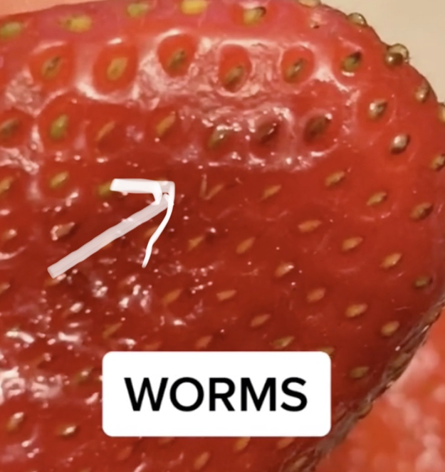 Little Bugs Will Start To Crawl Out Of Strawberries If You Put Them In Salt  Water