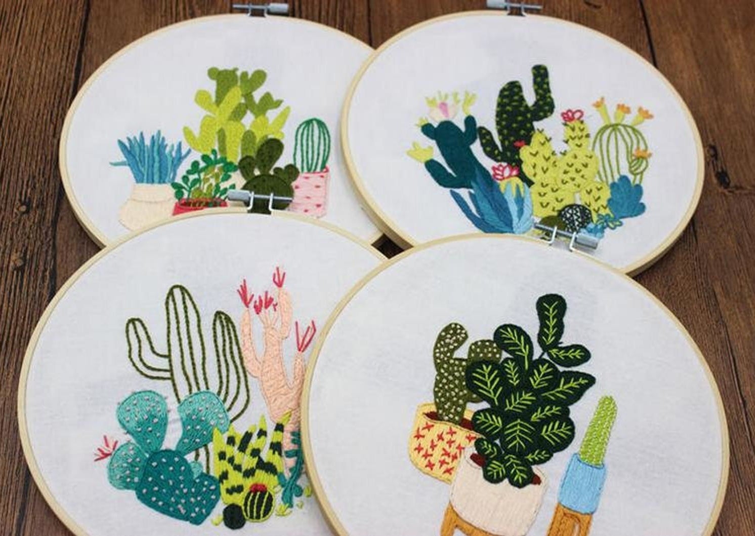 four embroidery hoops with different cacti and plants on them