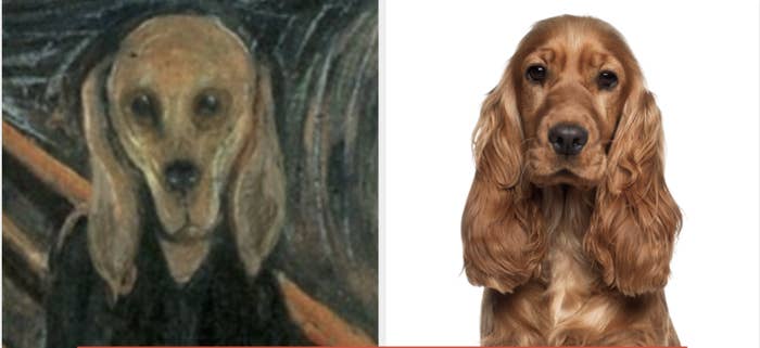 25 I Can T Unsee That Tweets That Are Hilarious