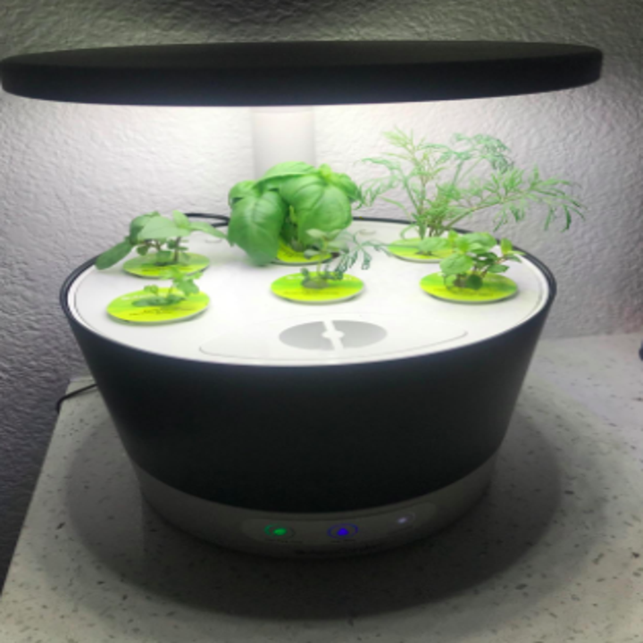 another reviewer's pic of Aerogarden with sprouting pods