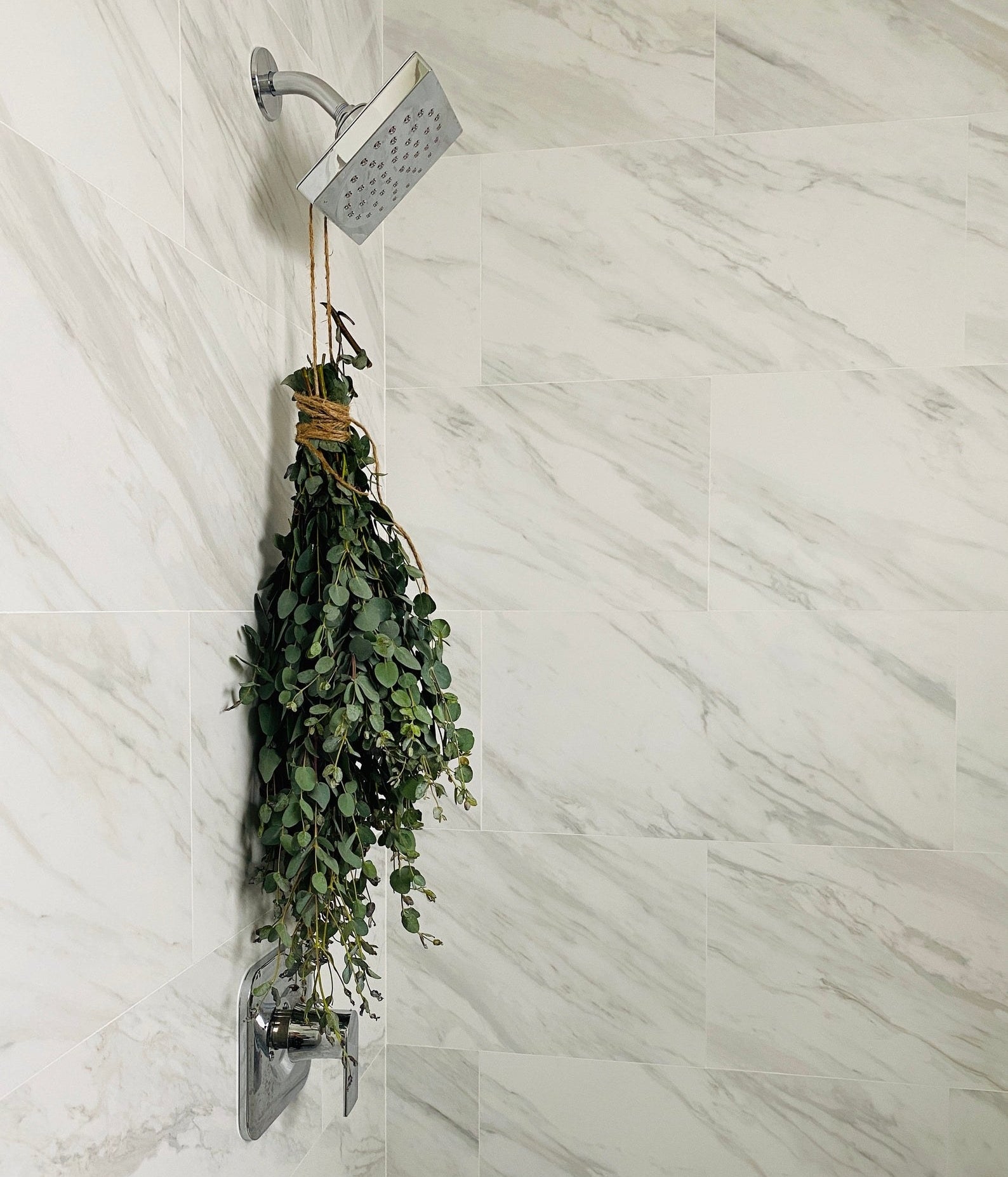 twine-wrapped eucalyptus hanging from shower head 