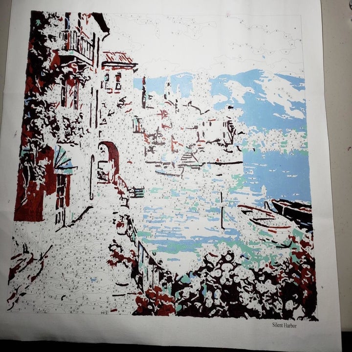 paint by numbers with only two colors filled in