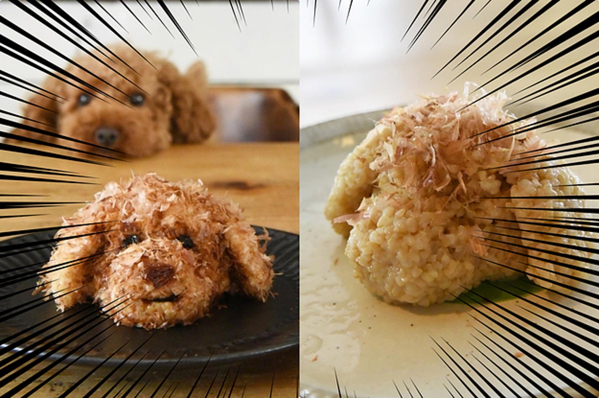 食べちゃうのは心苦しいけど 愛犬をおにぎりにした結果がこちらです