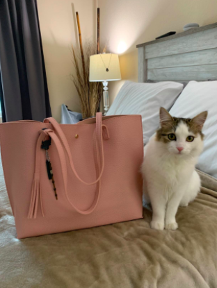 reviewer pic of tote bag on bed beside of cat