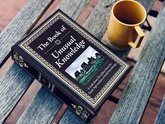 Reviewer's photo of the brown and gold book