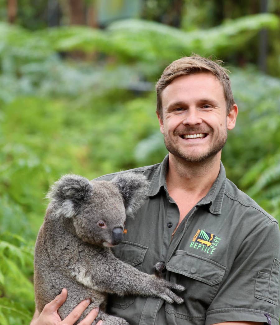 Australia Zoo Saves 1-Lb. Koala Joey Tragedy