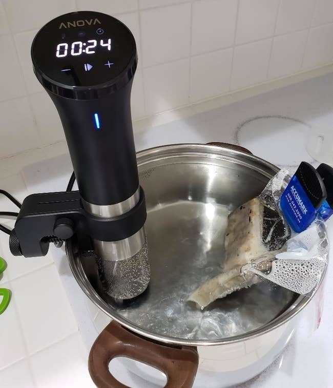A reviewer using the sous vide in a pot of water to cook fish
