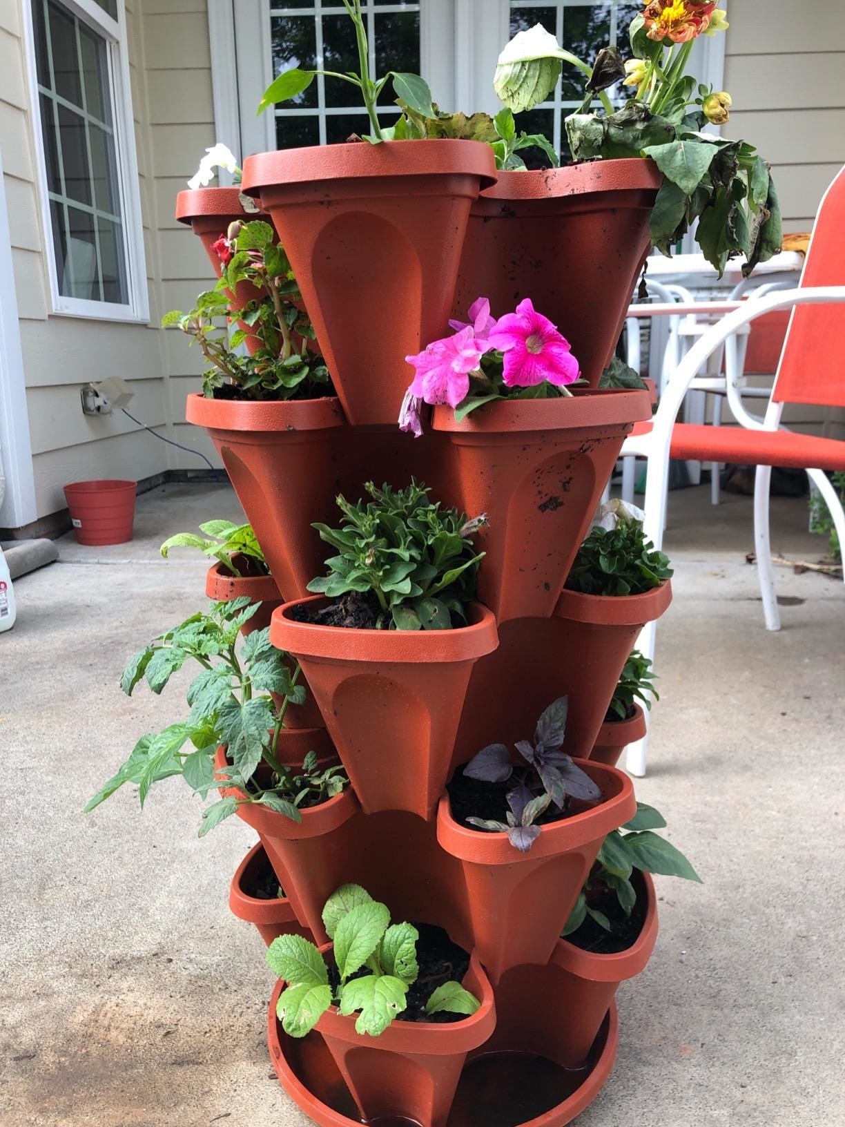 Reviewer photo of stacked planter with plants growing in each pocket